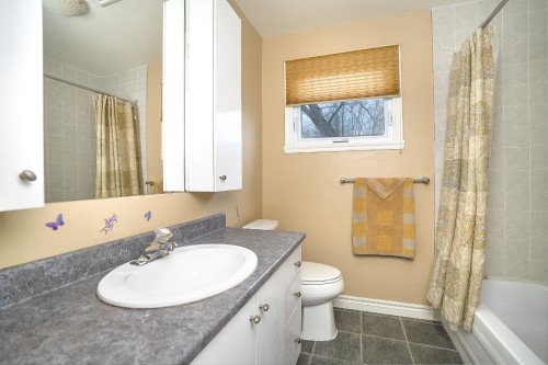 Salle de bains - 12 Rue Lesage, Dollard-Des-Ormeaux, QC - Indoor Photo Showing Bathroom