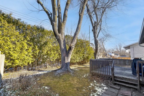 Cour - 12 Rue Lesage, Dollard-Des-Ormeaux, QC - Outdoor