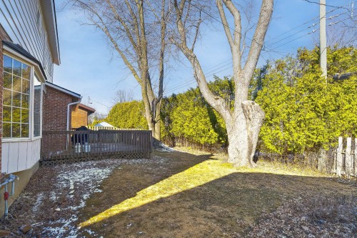 Cour - 12 Rue Lesage, Dollard-Des-Ormeaux, QC - Outdoor