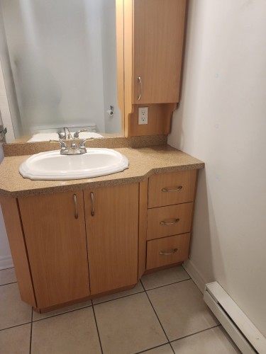 Salle de bains attenante à la CCP - 3983 Boul. Édouard-Montpetit, Montréal (Côte-Des-Neiges/Notre-Dame-De-Grâce), QC - Indoor Photo Showing Bathroom