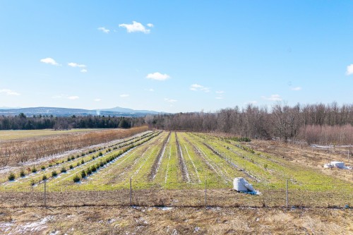Terre/Terrain - 400 Ch. Plouffe, Cowansville, QC 