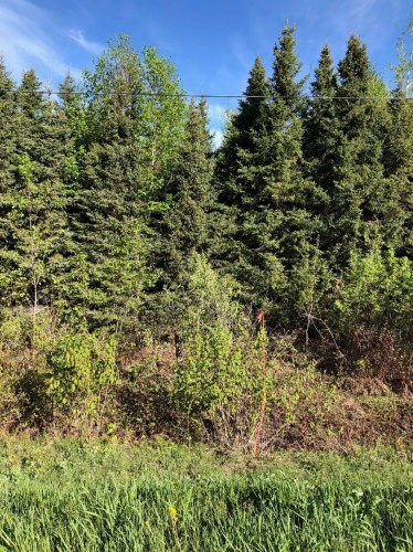 Lot - Rg St-Adolphe, Saint-Alexandre-De-Kamouraska, QC 