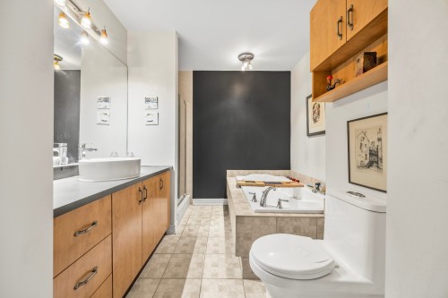 Salle de bains - 6-197 Rue De La Forge, Saint-Eustache, QC - Indoor Photo Showing Bathroom