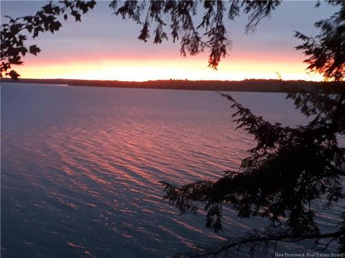 16 Phyllis Lane, Belyeas Cove, NB 