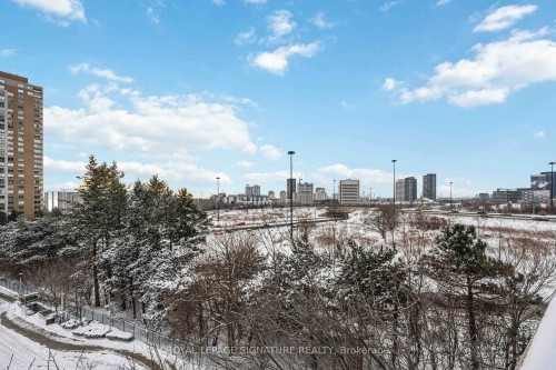 403-181 Wynford Drive, Toronto, ON - Outdoor With View