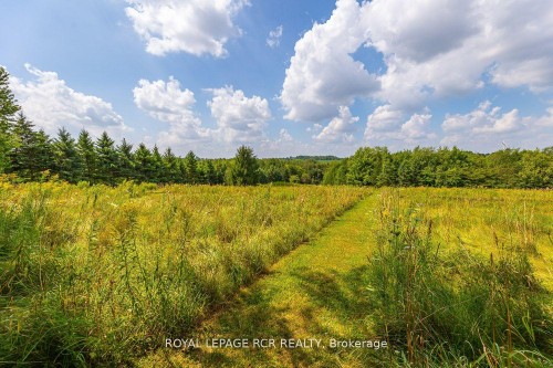 282398 County Rd 10 Road, East Luther Grand Valley, ON 