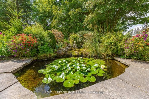 282398 County Rd 10 Road, East Luther Grand Valley, ON 