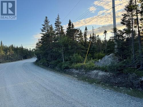 69 Whalens Pond Road, Brigus Junction, NL 