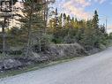 69 Whalens Pond Road, Brigus Junction, NL 