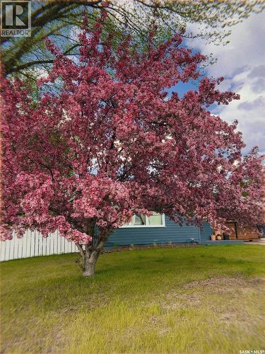 48 Bell Crescent, Saskatoon, SK - Outdoor