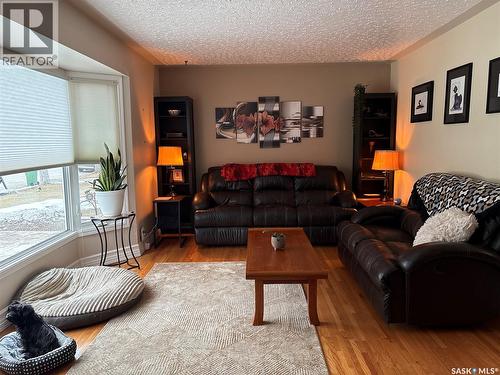132 Mcnab Crescent, Regina, SK - Indoor Photo Showing Living Room