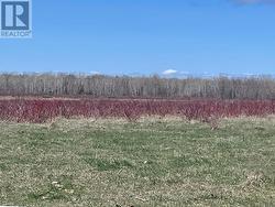 250 SCOTCH LINE ROAD Assiginack, ON P0P 1W0