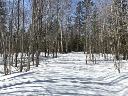 Lot - Ch. Des Sternes, Nominingue, QC 