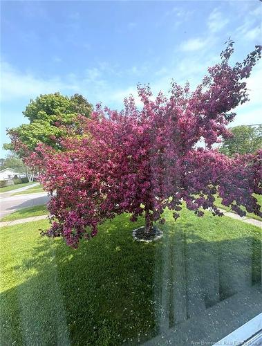 496 Argyle St, Saint John, NB 