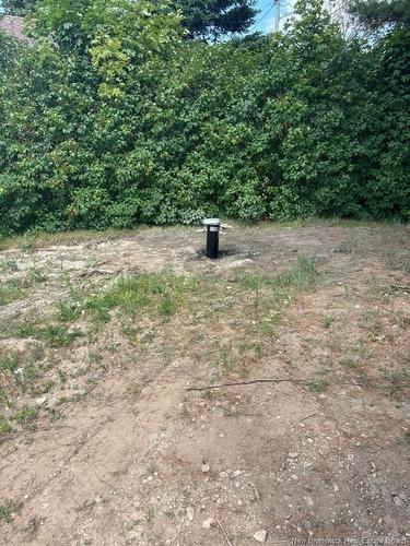 31 River, Rexton, NB 