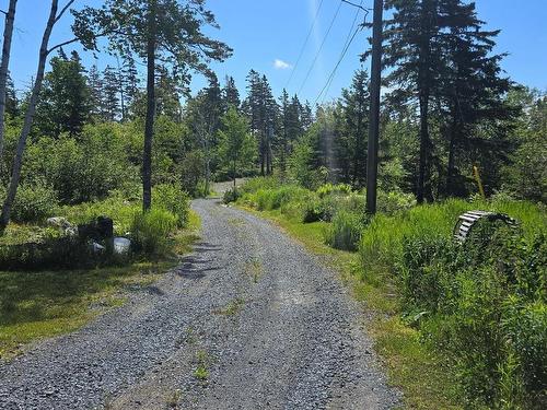 7741 Highway 331, Cherry Hill, NS - Outdoor With View