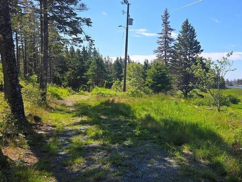 7741 Highway 331, Cherry Hill, NS - Outdoor With View
