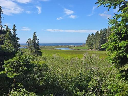 7741 Highway 331, Cherry Hill, NS - Outdoor With View