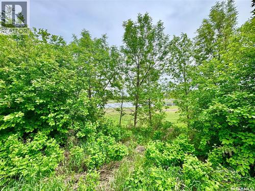 Soles Road Acreage, Prince Albert Rm No. 461, SK 
