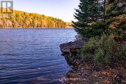 3517 HALIBURTON LAKE ROAD  Dysart Et Al, ON K0M 1S0