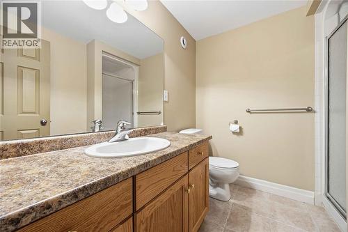 111 Bridlepath Trail, Sarnia, ON - Indoor Photo Showing Bathroom