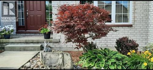 111 Bridlepath Trail, Sarnia, ON - Outdoor
