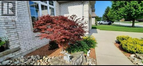 111 Bridlepath Trail, Sarnia, ON - Outdoor