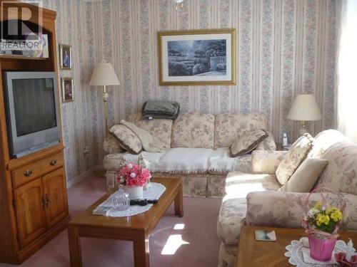 Living room - 2 Osmonds Lane, Carbonear, NL - Indoor Photo Showing Living Room