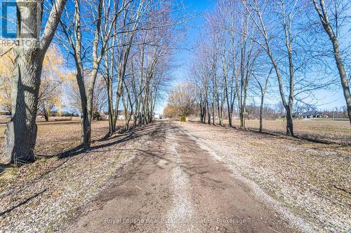 5327 Eighth Line, Milton, ON - Outdoor With View