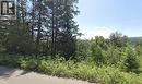 4196 Stevens Drive, Prince George, BC 