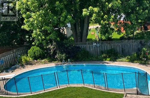 86 Mcgarry Drive, Kitchener, ON - Outdoor With In Ground Pool With Backyard