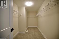 Walk in closet featuring light carpet - 