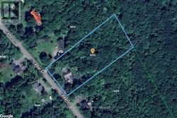 Approximate Lot Lines. Hardwood Forest. - 