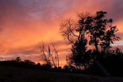 Beckville Beach Sunsets - 