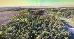 41 Cuthbert COVE St Francois Xavier, MB R4L 1A1