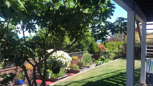 6160 Dover Rd, Nanaimo, BC 