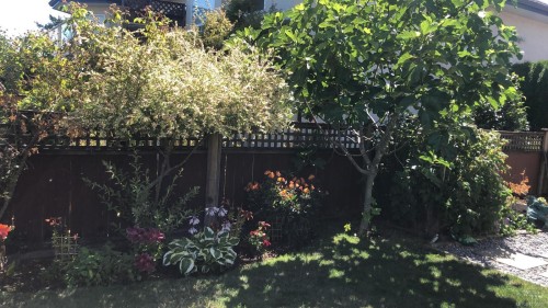 6160 Dover Rd, Nanaimo, BC 