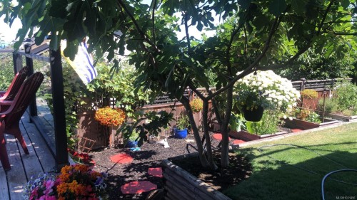 6160 Dover Rd, Nanaimo, BC 