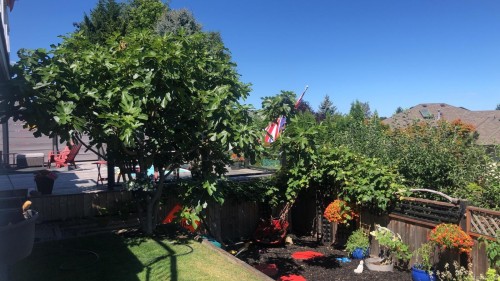 6160 Dover Rd, Nanaimo, BC 