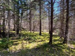 Acreage Stronach Mountain Road Melvern Square, NS B0P 1R0