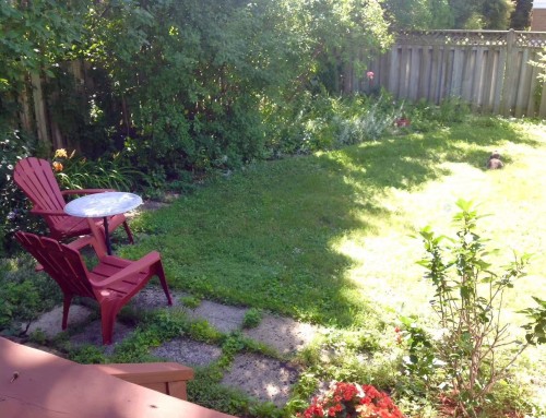 Cour - 188 Av. Rowan, Beaconsfield, QC - Outdoor