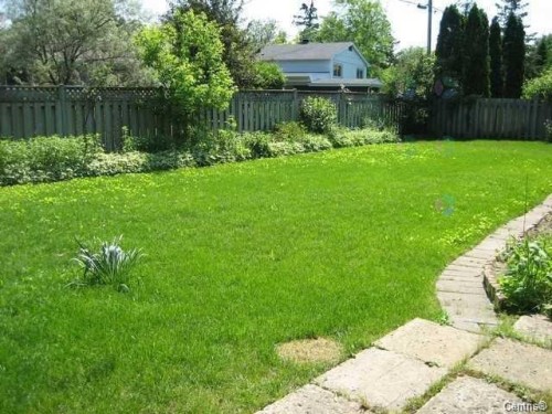 Cour - 188 Av. Rowan, Beaconsfield, QC - Outdoor