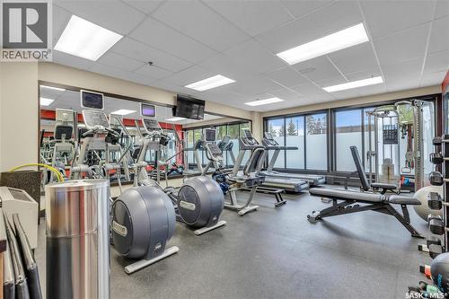 540 424 Spadina Crescent E, Saskatoon, SK - Indoor Photo Showing Gym Room
