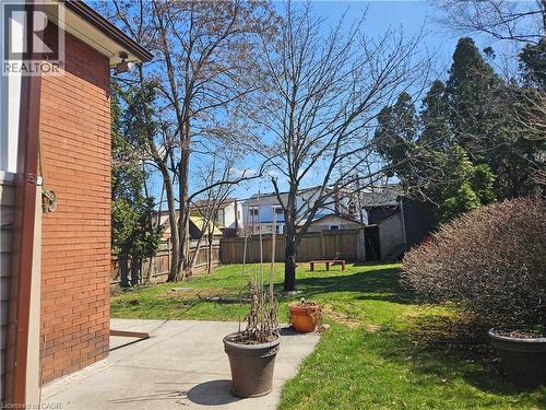Fenced yard with a patio area - 253 Grosvenor Avenue S, Hamilton, ON - Outdoor