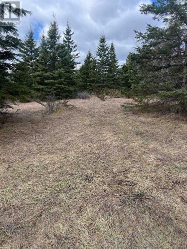 00 Centre Dummer Road, Douro-Dummer, ON 