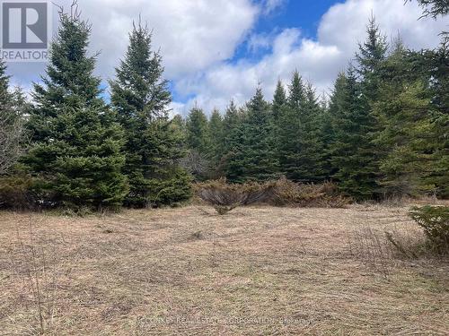 00 Centre Dummer Road, Douro-Dummer, ON 