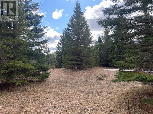 00 Centre Dummer Road, Douro-Dummer, ON 