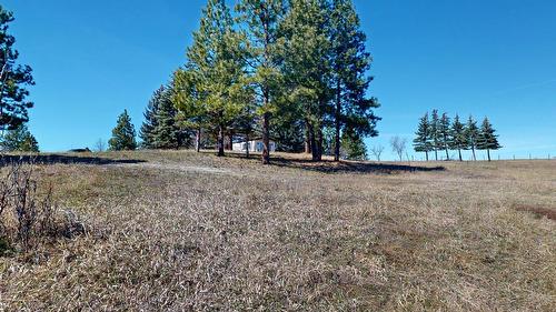 9862 95A Highway, Cranbrook, BC 