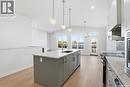 151 Nazarali Way, Saskatoon, SK  - Indoor Photo Showing Kitchen With Upgraded Kitchen 