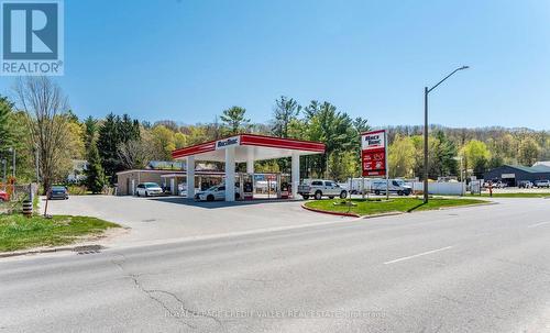 793 Vindin Street, Midland, ON 